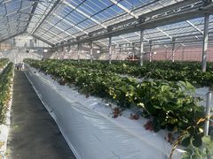 �����t�@�[���̎ʐ^1