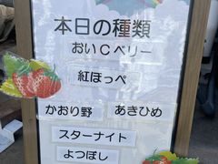 �����t�@�[���̎ʐ^2