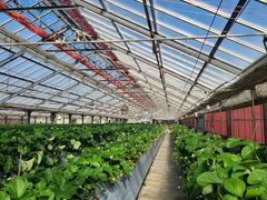 ���R���������̎ʐ^1