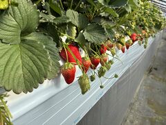 AGRI�@WAYS�̎ʐ^1