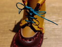 �₳����̂��K�[ IPPO�ւ̓��e�ʐ^1