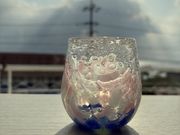 ���₳��̐Ί_���K���X�H�[�o���������̓��e�ʐ^1