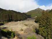 �Ă�������̐݊y���i�g���^��Q���_���̓��e�ʐ^1