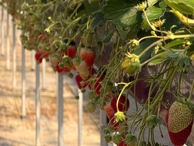 ����C�x���[_��������_��