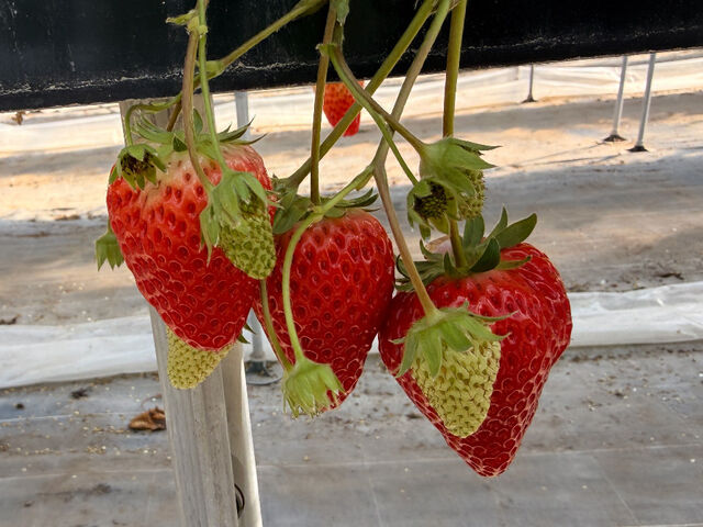 ��������ł܂���_��������_��