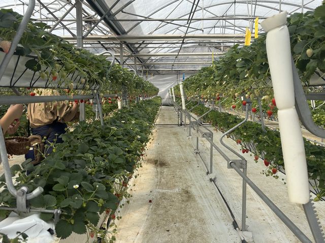 ����_���b�`�t�B�[���h�Ó�_��