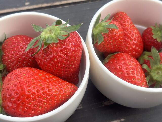 �����Ă������H�ׂ܂����B_���ӂ��C�`�S��