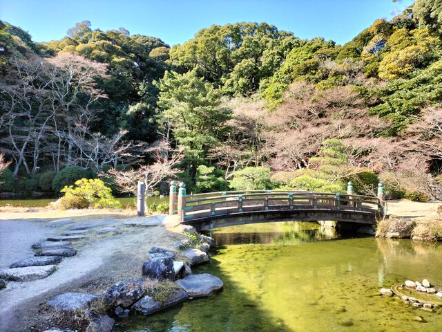 ���͉Ԃ����Ȃ����������ǁA�t�ɂȂ�����؂₩����Ȃ̂��낤�Ǝv����B_���{�뉀