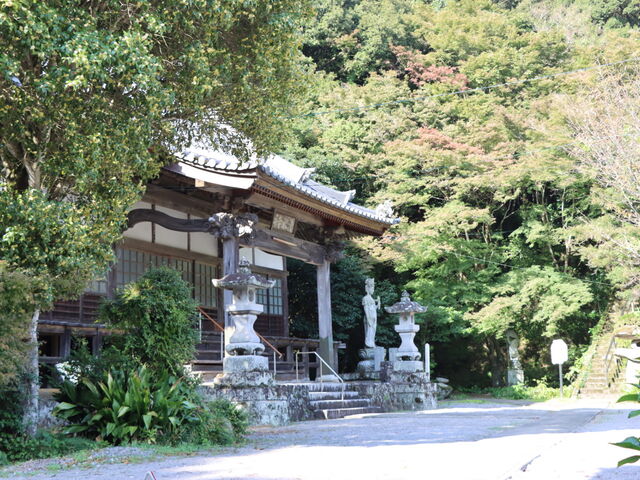 �������̐������i�啪���F���s�j�̓��e�ʐ^6