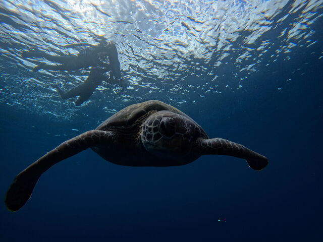 �E�~�K��_���܂�����