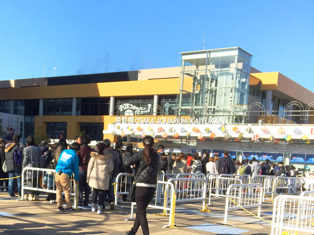 ����9�����B���\����ł��܂����B_�C�V��