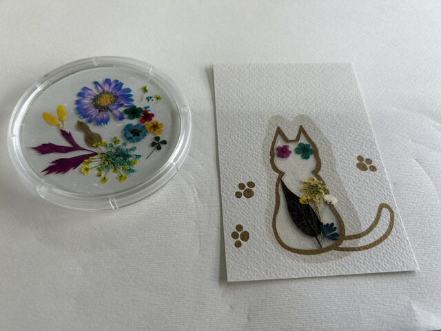 �X�e�L�ȃR�[�X�^�[���ł��܂�����_�����ԍH�[�������