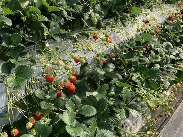 2�i�ɕ�����Ă܂�_������_�ꂢ������