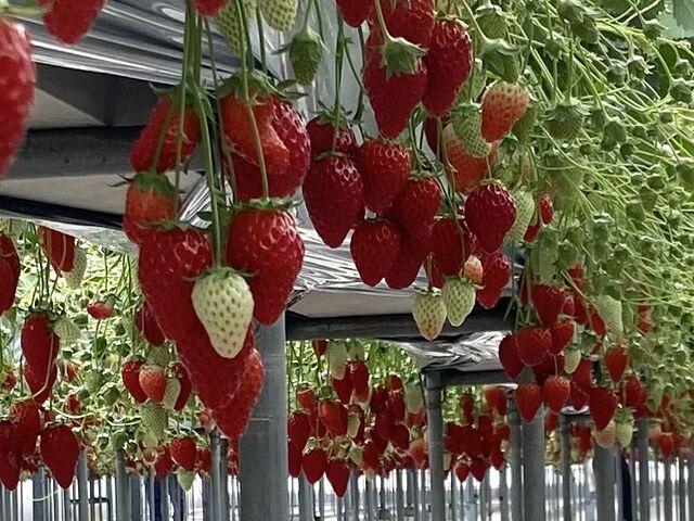 ������͂܂����ꂩ��̈Ⴄ���p���Ǝv���܂����A���B������Ȋ����ł�����A�H�׍��������ς��ł�_�s�쉀�|