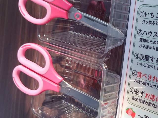 ���n�p�̂͂���_�������K�[�f�� ������