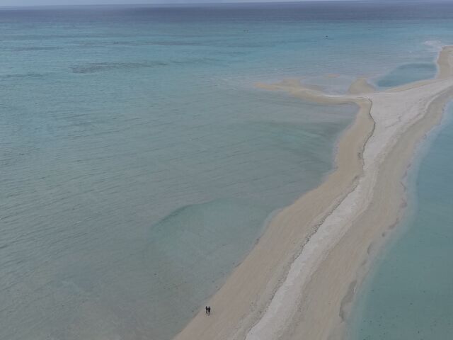 ���傤�Ǒ��̊ό��̕����A���čs�����̂őݐ؏�Ԃōō��ł���_Blue Turtle Ocean Sports