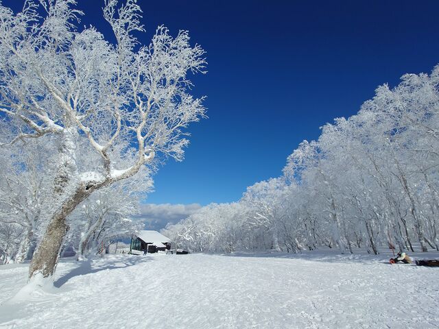 �|����������̔��َ��уX�m�[�p�[�N�̓��e�ʐ^1