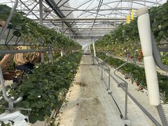 ����Ȃ���̃��b�`�t�B�[���h�Ó�_��ւ̓��e�ʐ^1