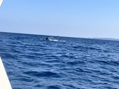 ����A�C�����h�N���[�̎ʐ^1