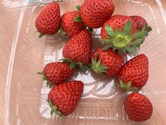 LPC�x�W�^���A�t�@�[���̎ʐ^2