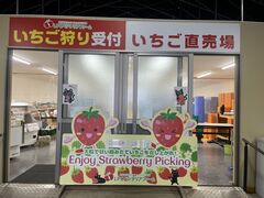 LPC�x�W�^���A�t�@�[���̎ʐ^3