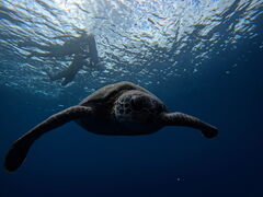 ���܂�����̎ʐ^1