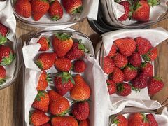 ���d�E�C���O�t�@�[���̎ʐ^1