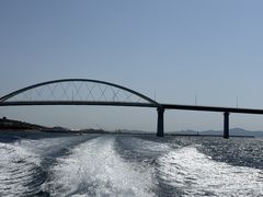 ����A�C�����h�N���[�̎ʐ^1