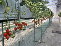 ���������݂Ȃ��̎ʐ^1