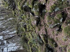 OUTDOOR SPORTS SQUARE�̎ʐ^1