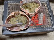 ���肱����̃J�j�\�����G������h�@�������̓��e�ʐ^1