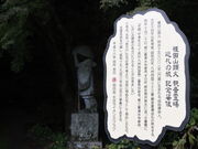 �������̐������i�啪���F���s�j�̓��e�ʐ^5