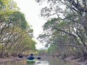 ��������̉����哇1�l���K�C�h �R���`�W���[�j�[�̓��e�ʐ^1