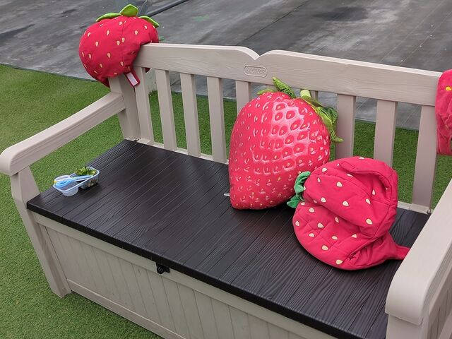 �x�e�G���A���t�H�g�X�|�b�g�x���`���������L��_Sugar Berry ���˂������_��