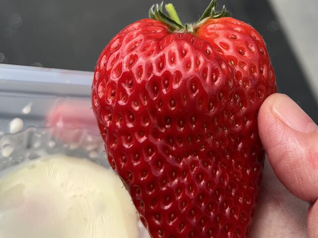 �傫���Ă݂��݂������_�������h���[���]��