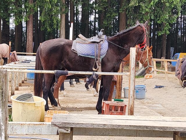 ��n������������ǁH�H_�ߐ{��{���q��