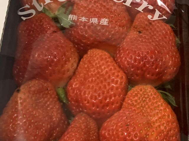 �����_������̂��Ƃ��C�ɂȂ��Ă���F�l�����ɂ������A�肵�܂����B_�����_��