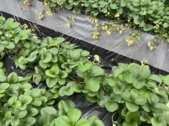 ���n�������������S�R����܂���ł����B�K�b�J���ł��B_�ÎR�_��