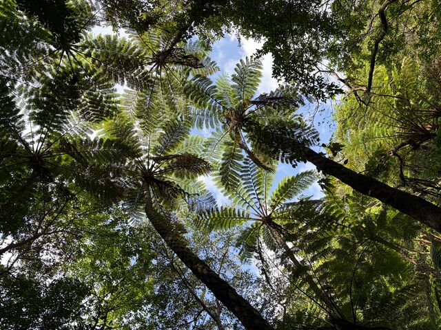 �E�g���̐X
����肵�Ă��āA�Ă͊֓����������悤�ł�_�E�g���x�[�X