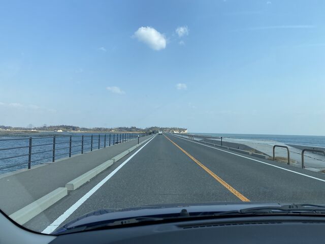 �E�������m�A��������Y�ł��B_����Y