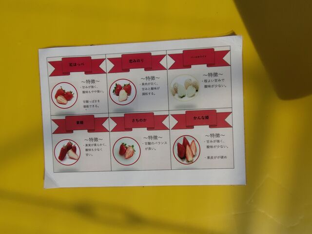 ���[���ɂ́u����ȕP�v�ł͂Ȃ��u��悢�P�v�ƂȂ��Ă��܂���_Lien Ferme(�������_��)