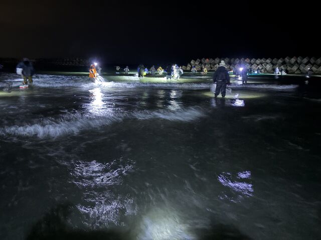 �z�^���C�J�������̕��i_�x�R�V���m�[�P�����O�̌�