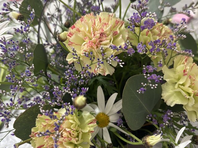 �킽���̍�i_���Ԃ̋��� �u�[�P�h�I���[�u