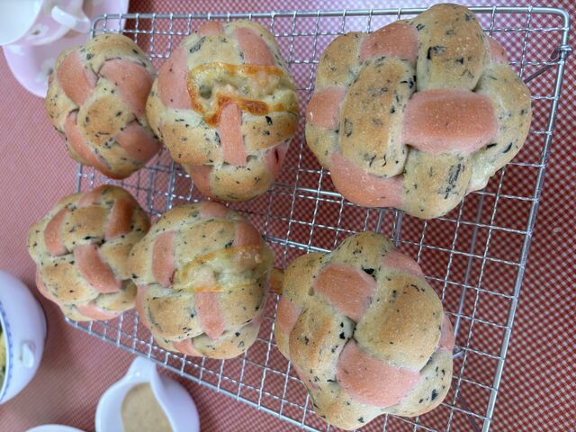 Sae����̘a�َq����an�̓��e�ʐ^4