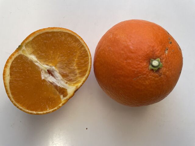 �g�}�h���i�ł��B�����́A�����܂��B_���̉w �����l�݂Ȃ���