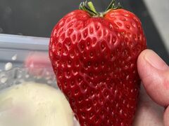 �������h���[���]��̎ʐ^1