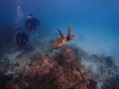 ���v���_�C�r���O�K�C�h���S�n�̎ʐ^1