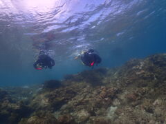 ���v���_�C�r���O�K�C�h���S�n�̎ʐ^2