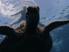 �Ί_���}�����T�[�r�X�߂̉��Ԃ��̎ʐ^2