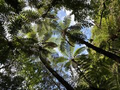 �E�g���x�[�X�̎ʐ^1